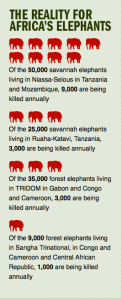 Statistics on Elephants in Africa