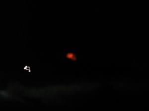 Orange glowing moonrise night after the Full Moon.
