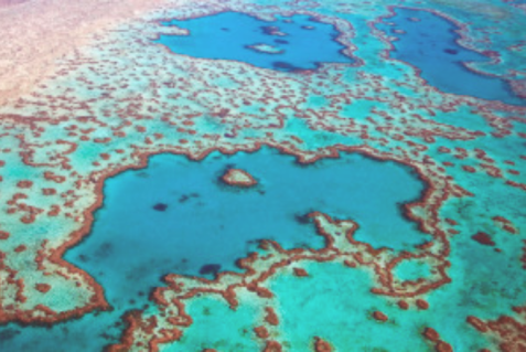 Great Barrier Reef officially declared Dead after 25 million years