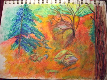 Orange Glow Nov. 27, 2016 - Santa Fe National Forest Faber Castell watercolor pencil series